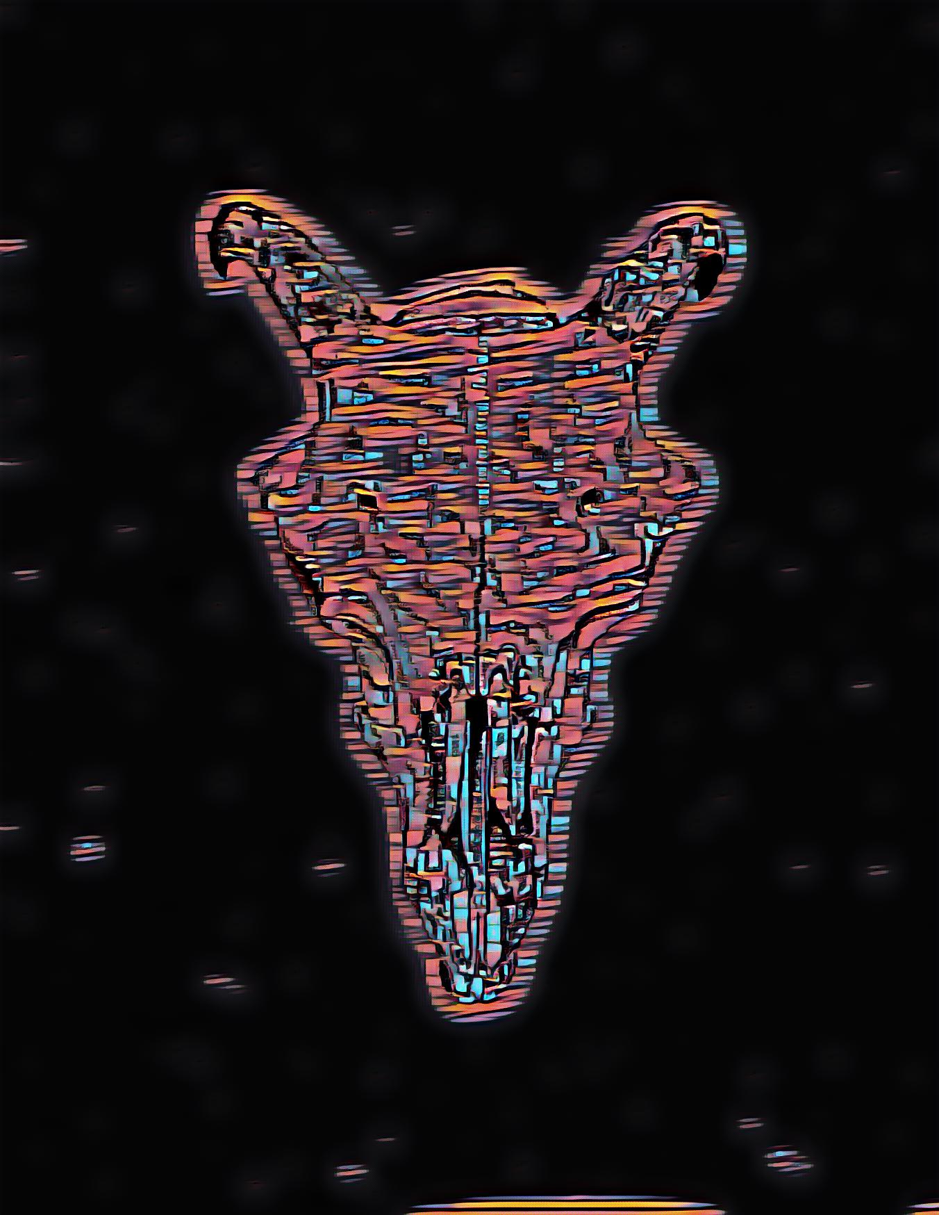 ram’s skull | night version
