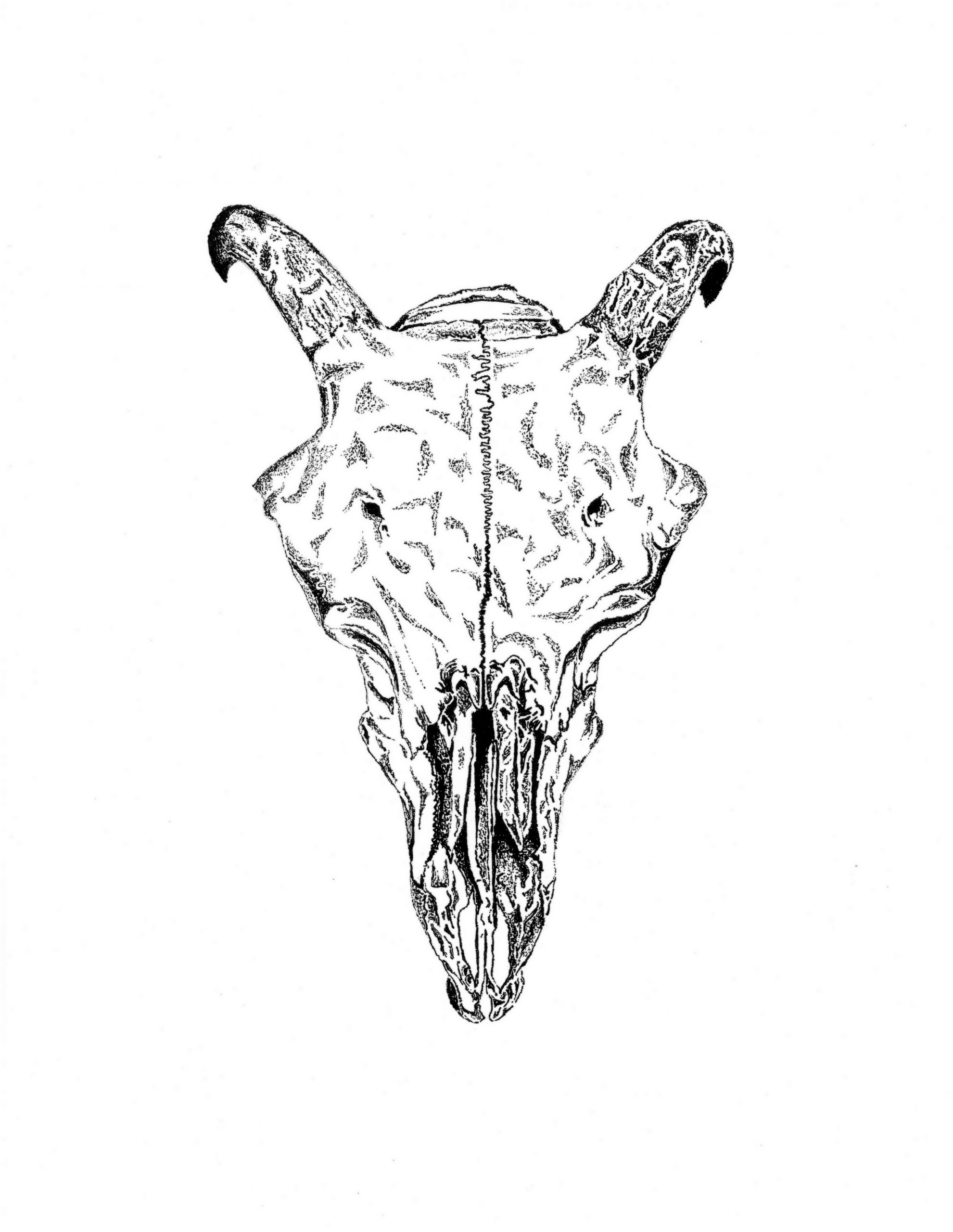 ram’s skull | phase 03, more details
