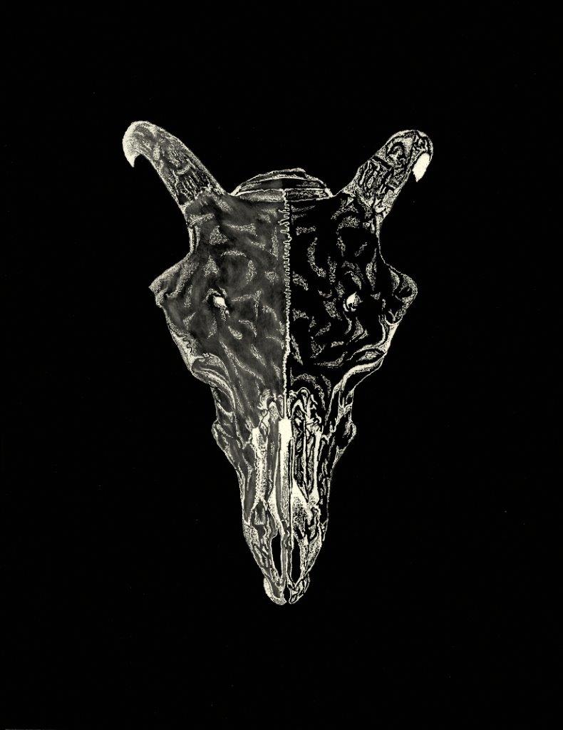ram’s skull | half-shaded | mar.24.2020