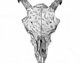 ram’s skull | fully shaded | phase 05 mar.25.2020