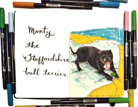 Monty the Staffordshire bull terrier