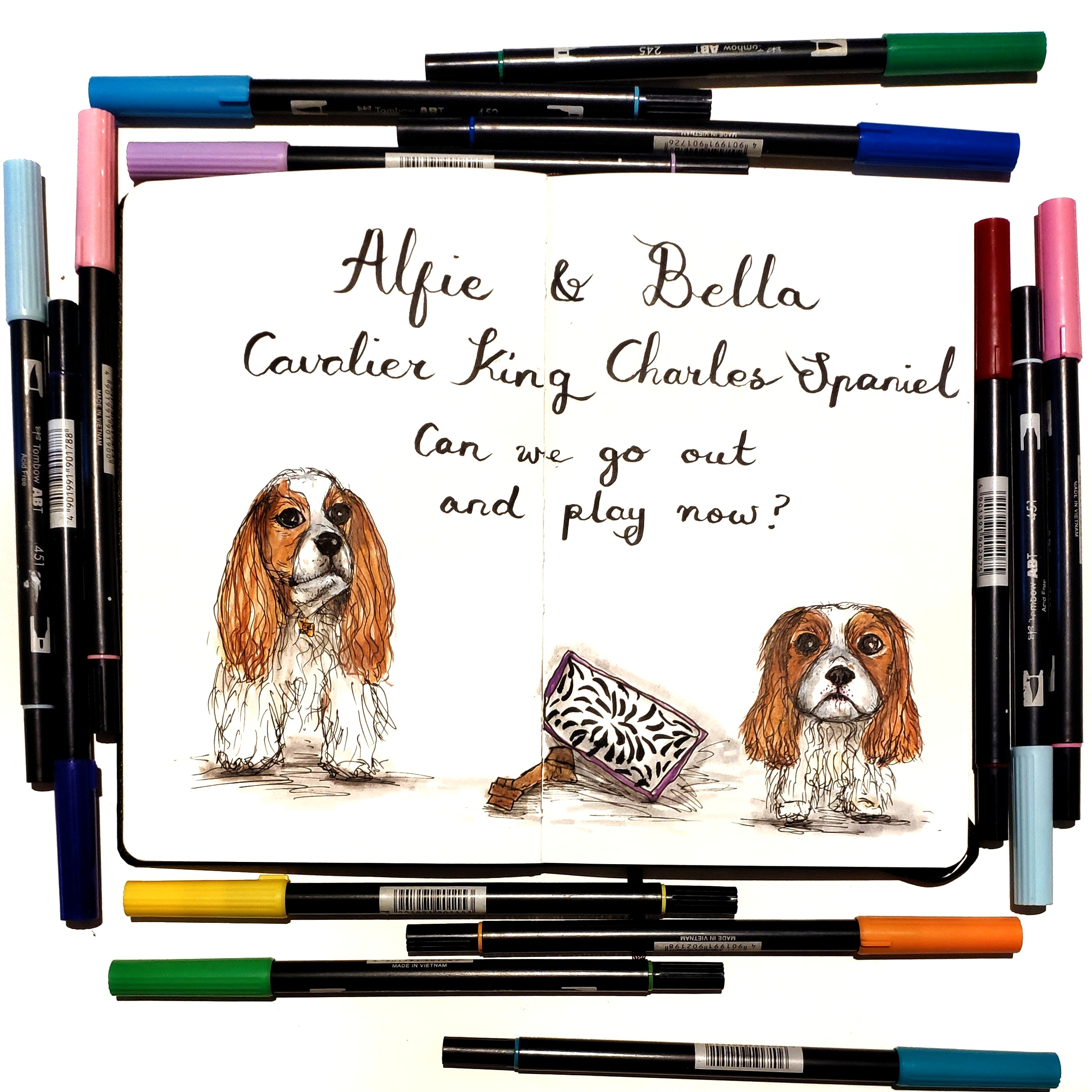 Pet Portraits: cavalier king charles spaniels