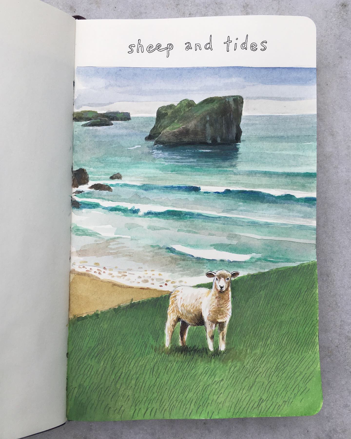 Sheep and tides