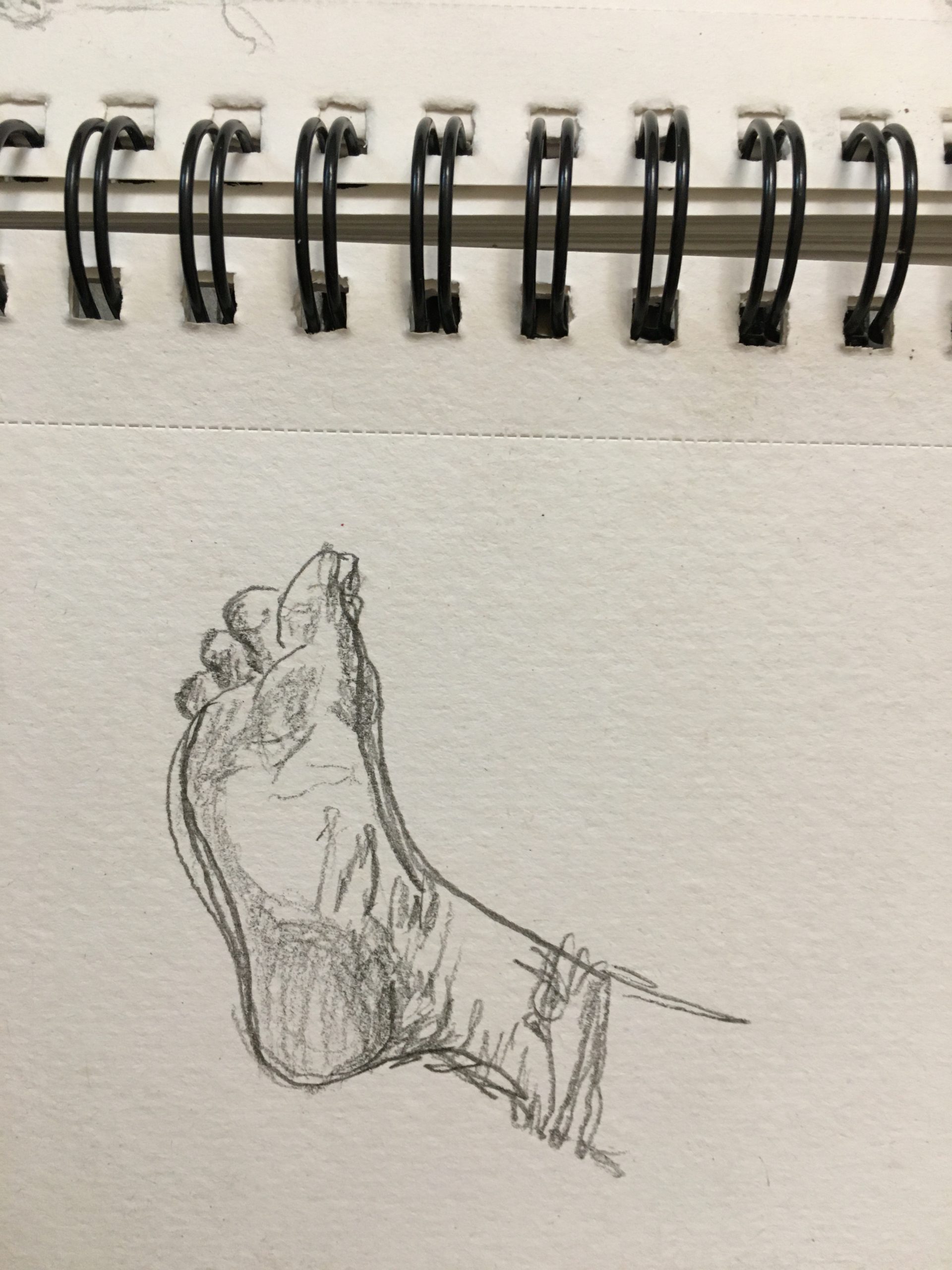 Foot Study #4