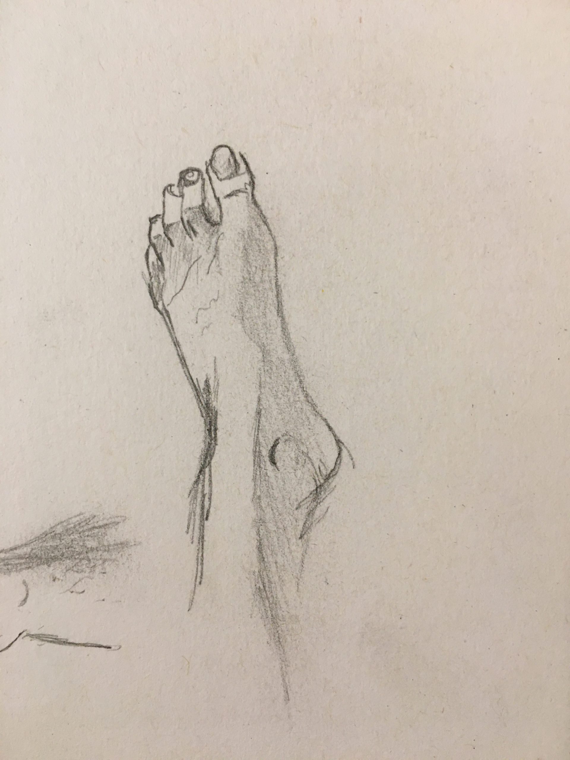 Foot Study #1