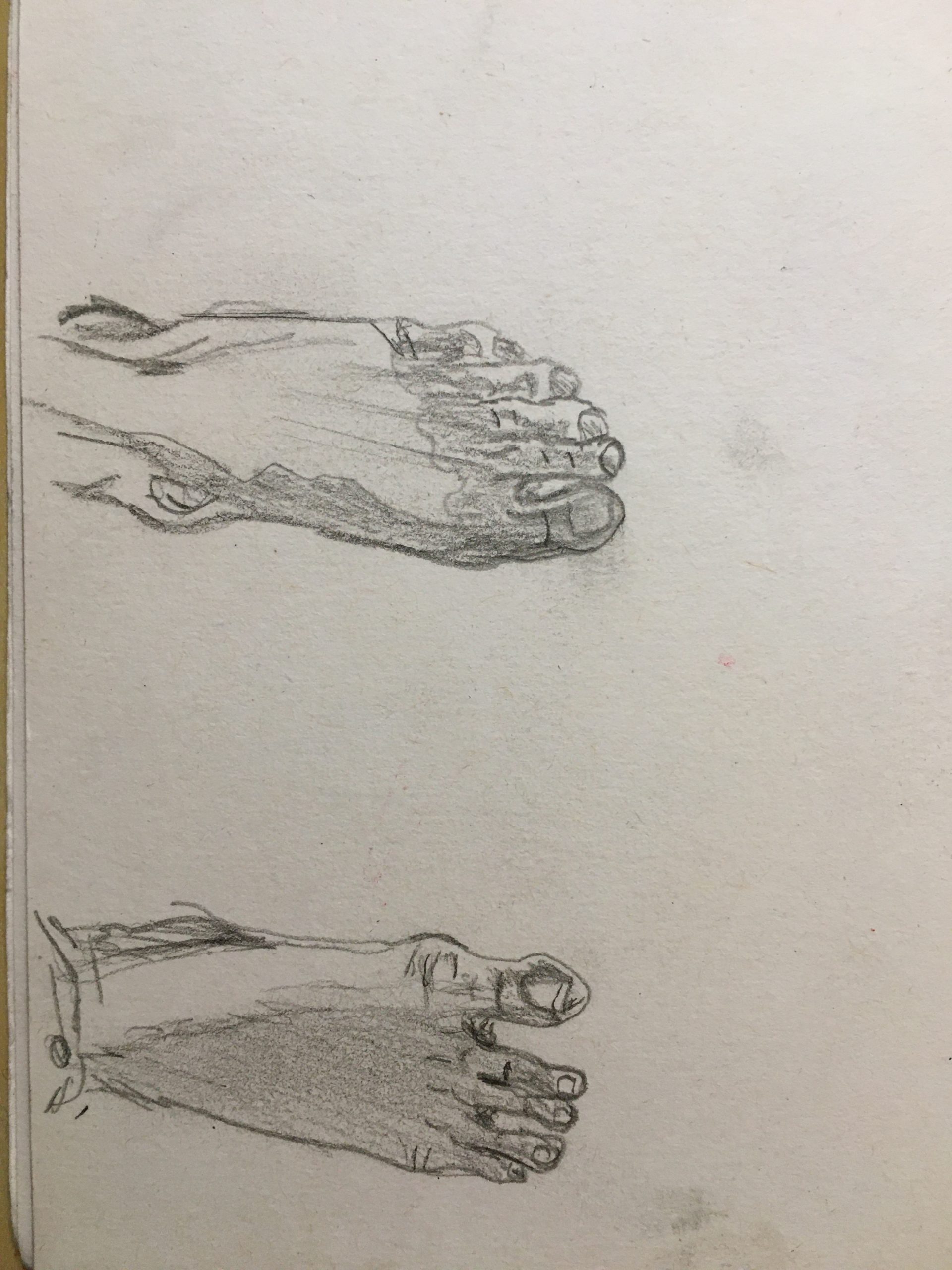 Foot Studies 2 and 3