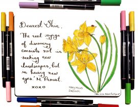 Daffodils