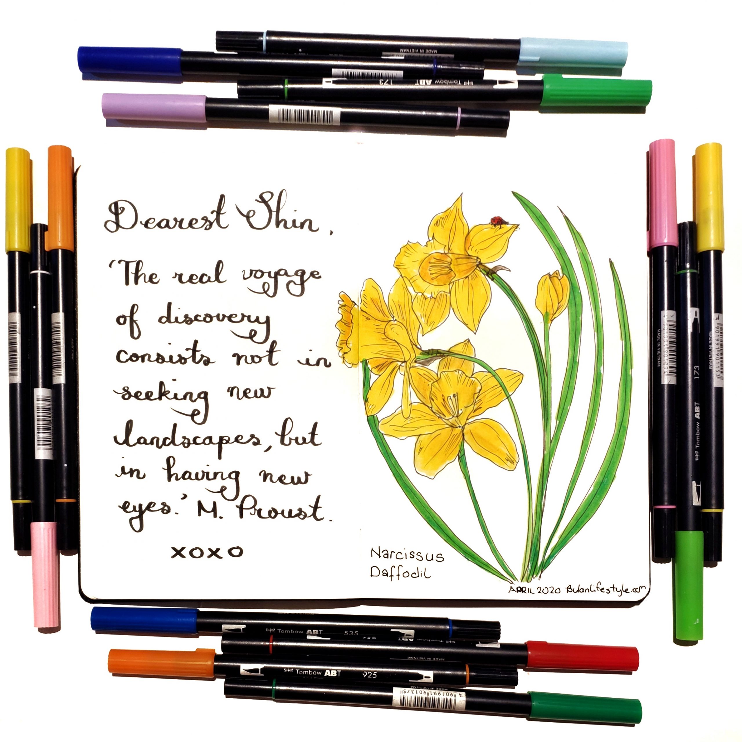 Daffodils