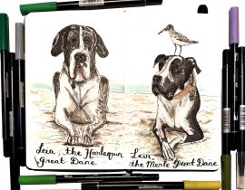 Pet Portraits : Leia and Levi Dreat Danes