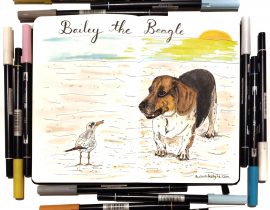 Bailey the beagle