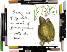 Toots the tortoise