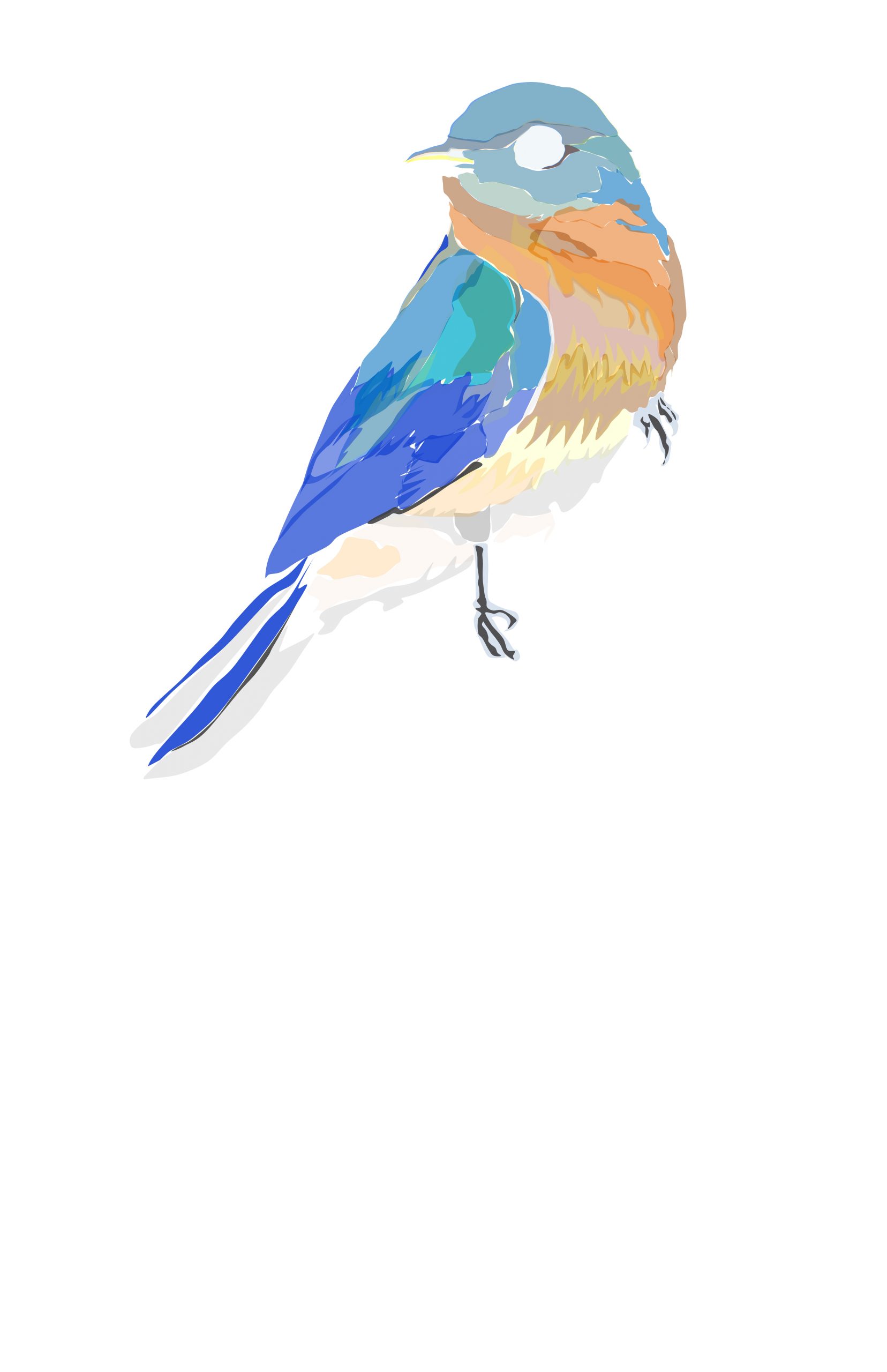 eastern bluebird | june.17.2020