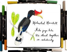 Hornbill