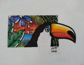 Tucano