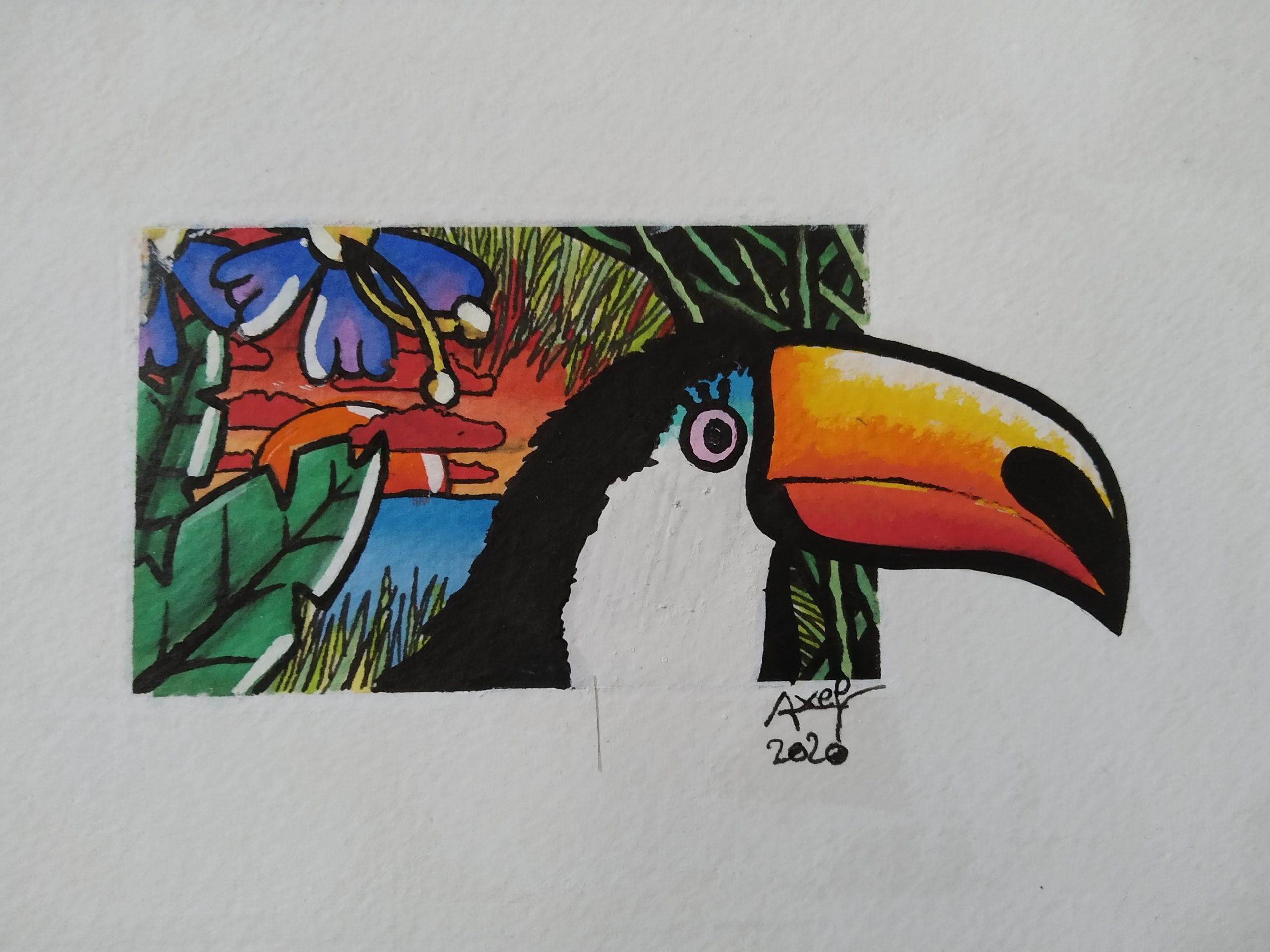 Tucano