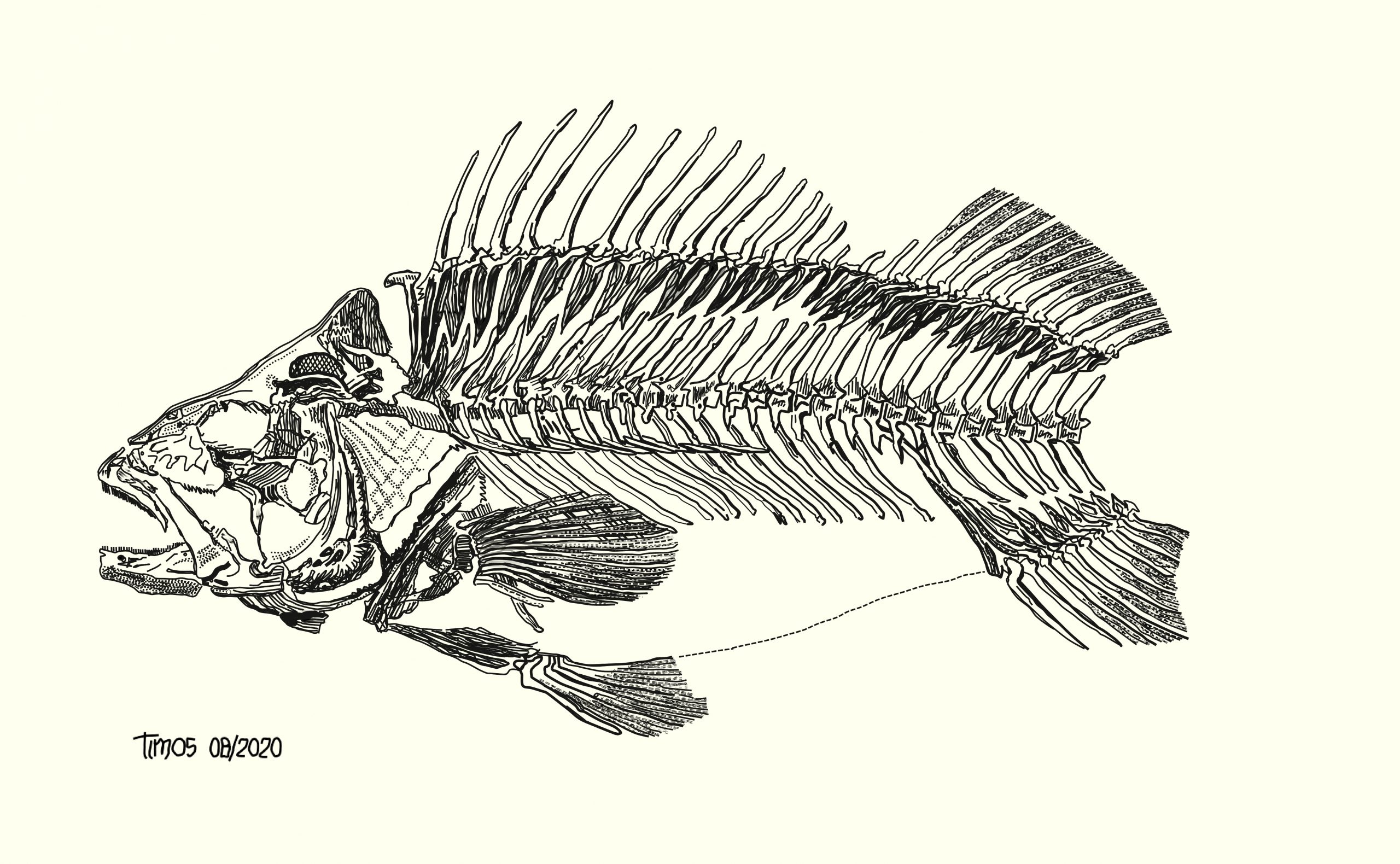 fish bones {three quarters done}