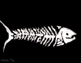 fish bones | aug 07 2020