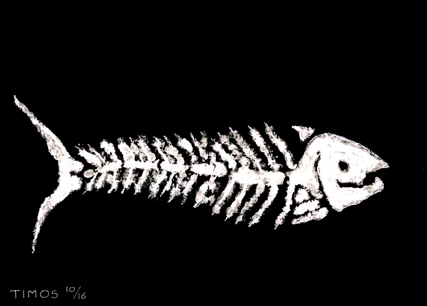 fish bones | aug 07 2020