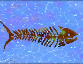 fish bone | aug 09 2020