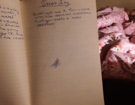 Dream Log