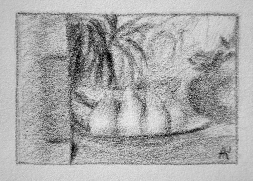 Sketch of the still life with fruits