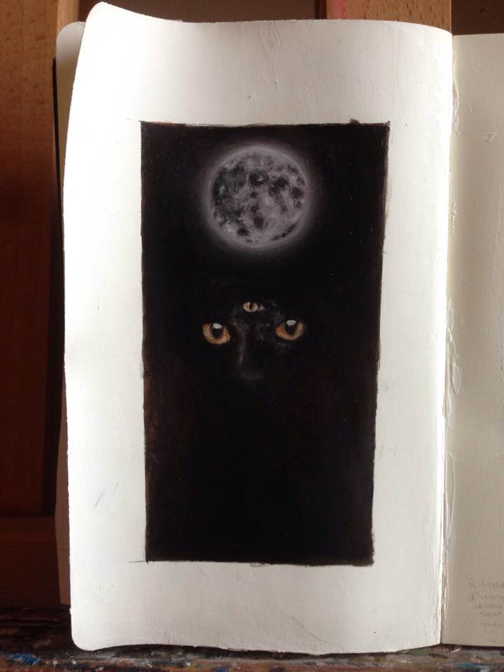 Black Cat 🌕