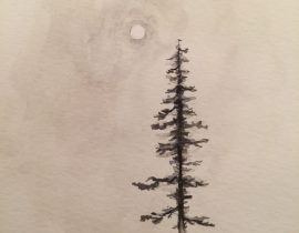 Pine and Sun