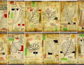 graecum botanicus patria | collage