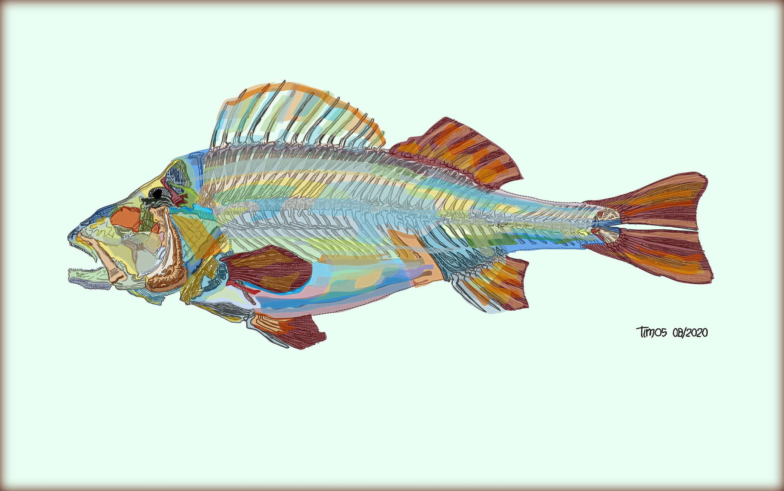 fish / design marvel / 11.08.2020