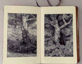 Tree portraits