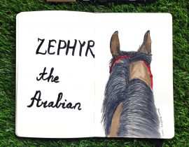 Zephyr the Arabian