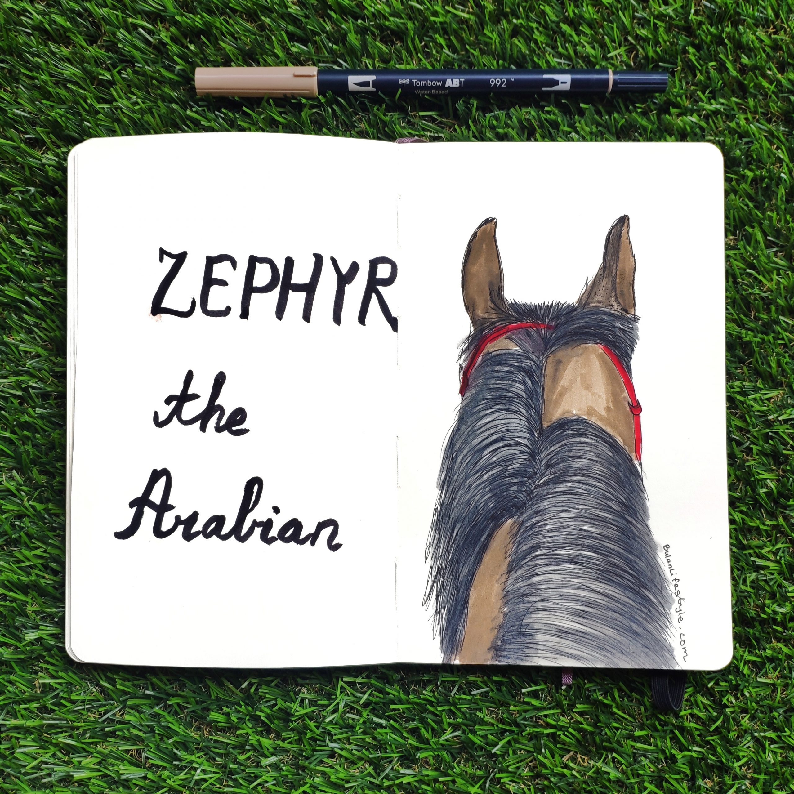 Zephyr the Arabian