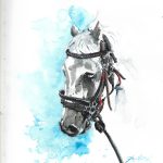 Horse watercolor series… #1