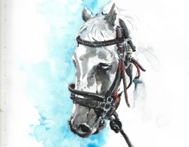 Horse watercolor series… #1