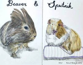 Beaver and Sputnik