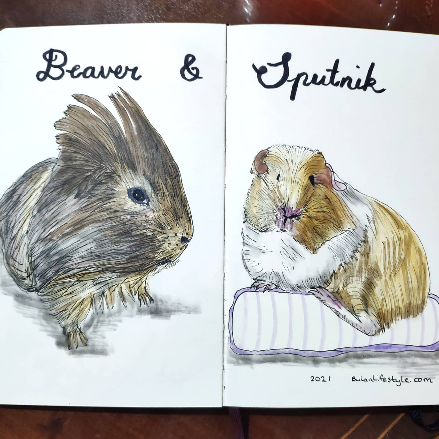 Beaver and Sputnik