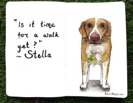 Stella pet portrait