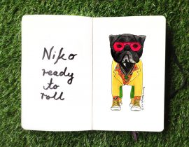 Dog fashion portrait : Niko
