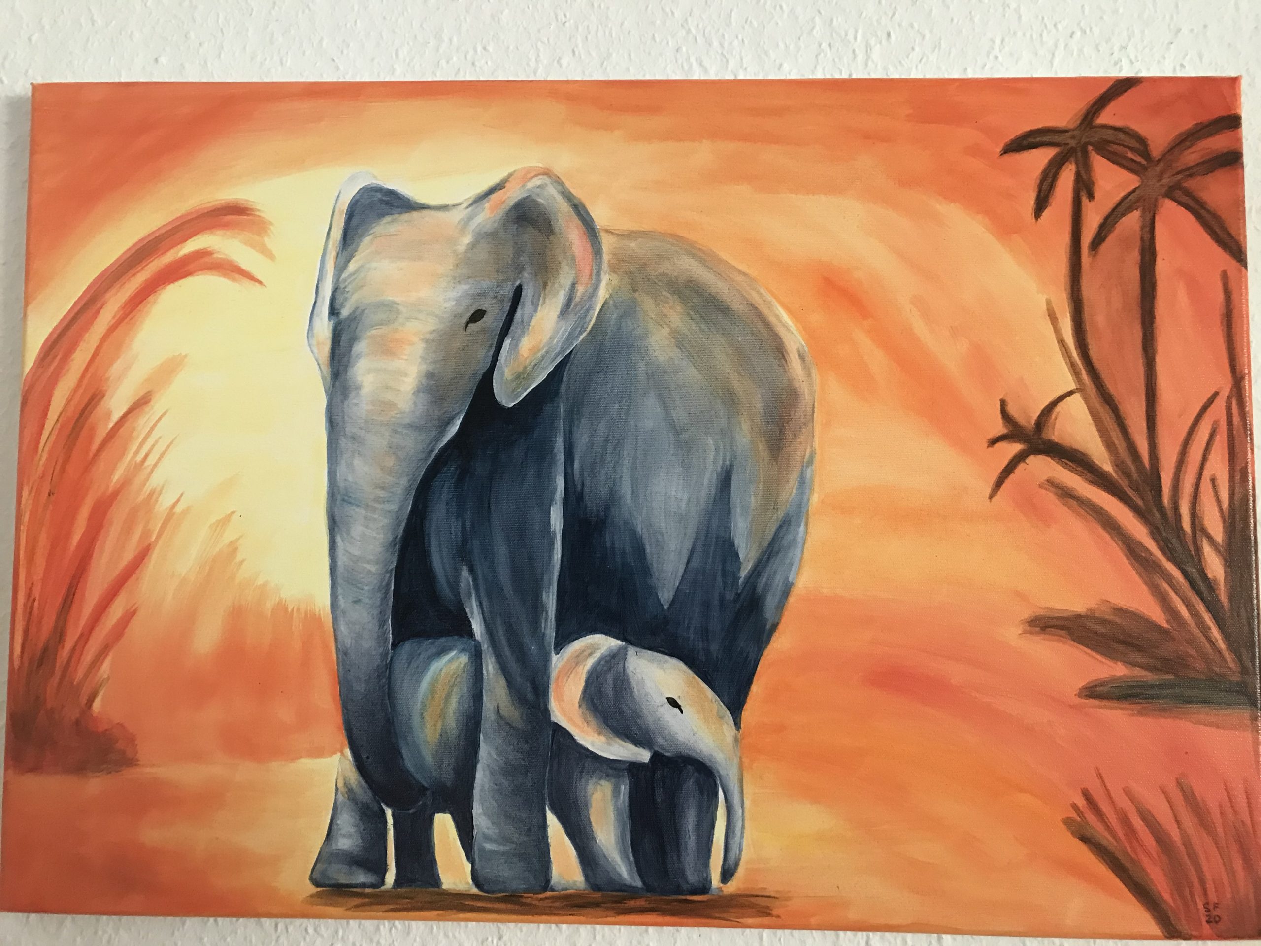 Elephants