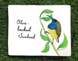 Sunbird