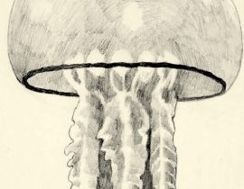 study of jellyfish for upcoming sci-fi project