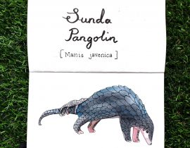 Sunda pangolin