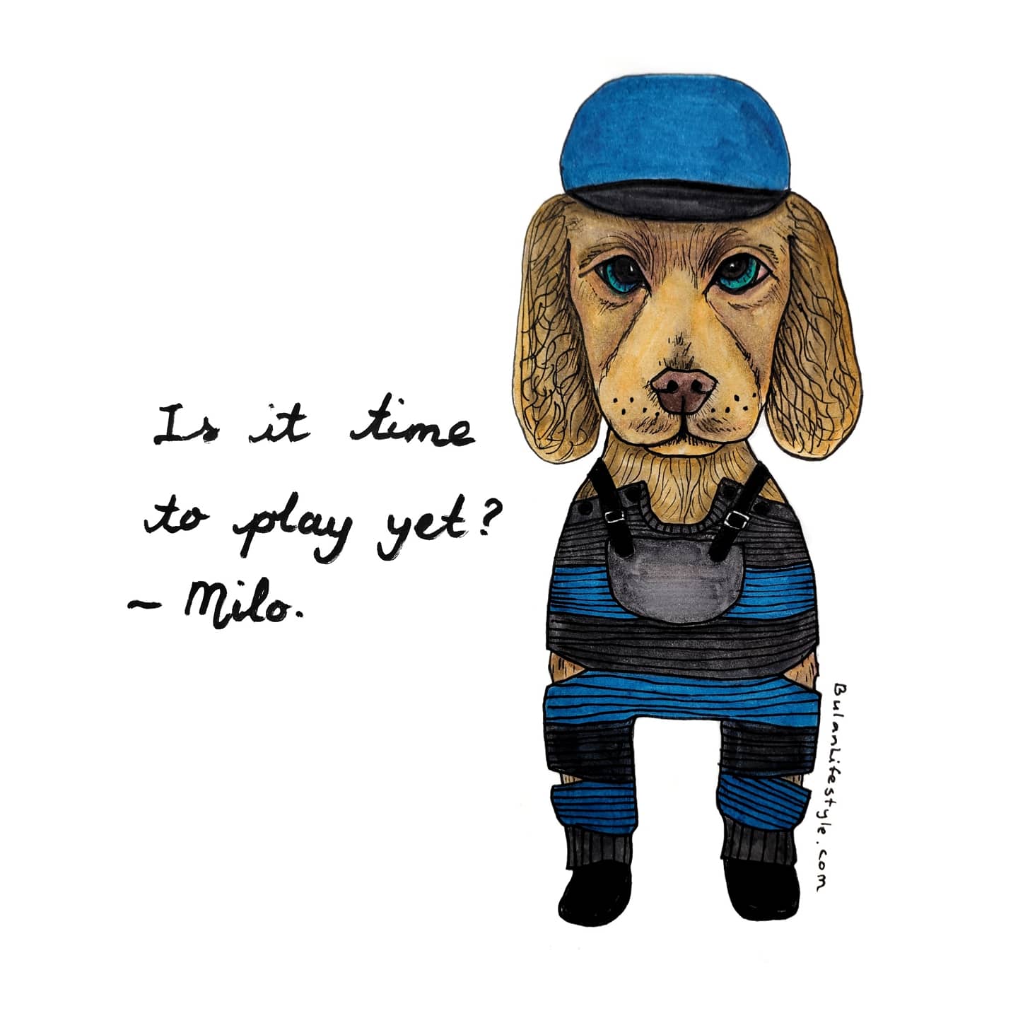 Milo pet portrait fashion makeover