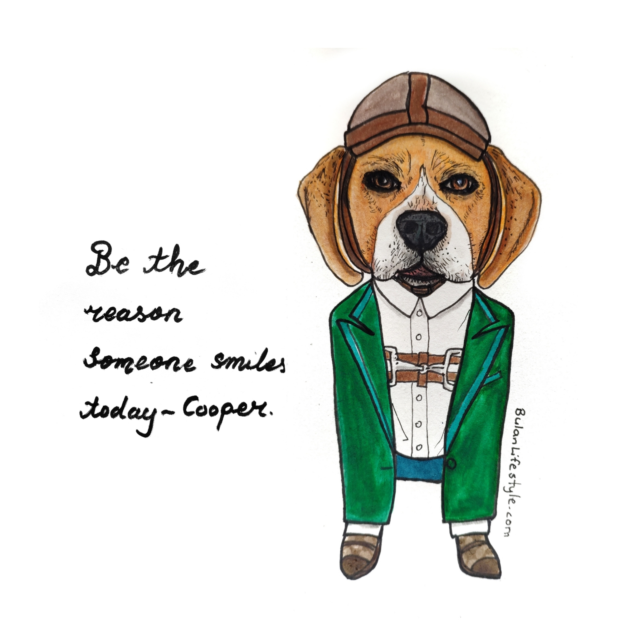 Cooper pet portrait fashion makeover