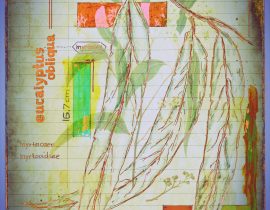 plantae | encaustic plate 03