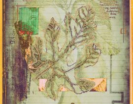 plantae | encaustic plate 07