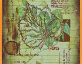 plantae | encaustic plate 08