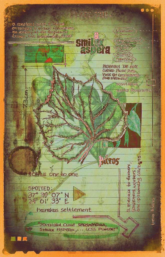 plantae | encaustic plate 08