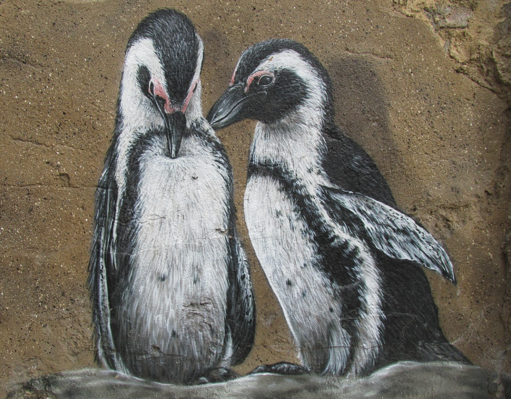 Penguin Art Work