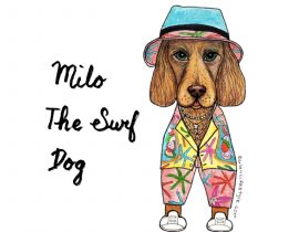 Milo the Surf dog